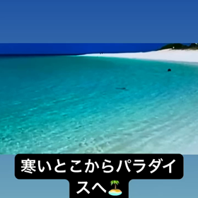 寒いとこからパラダイスへ️の画像
