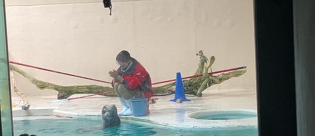 伊勢志摩旅行記【6】　鳥羽水族館〜旅の記念の真珠（浜幸パール）〜名古屋への記事動画
