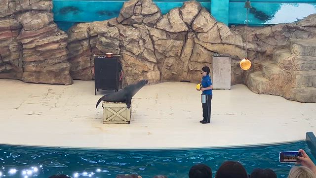 伊勢志摩旅行記【6】　鳥羽水族館〜旅の記念の真珠（浜幸パール）〜名古屋への記事動画