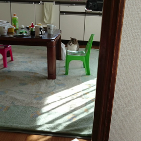 パニック❗の画像