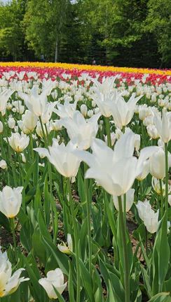この天気を無駄にしたくない！滝野への記事動画