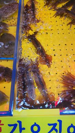 〜【また絶対に再訪したい】韓国3大水産市場の1つ〜チェムルポ: 仁川総合魚市場の記事動画