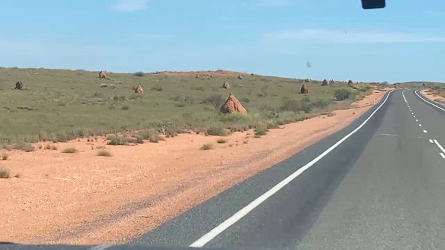 〜リゾート気分が台無し〜コーラルベイ:Peoples Parkの記事動画
