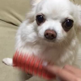 めいちゃんです(^O^)の画像