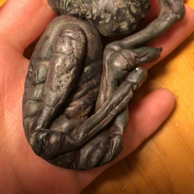 宇宙人のミイラの画像