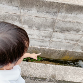 幼稚園に対しての怒りが止まらないの画像
