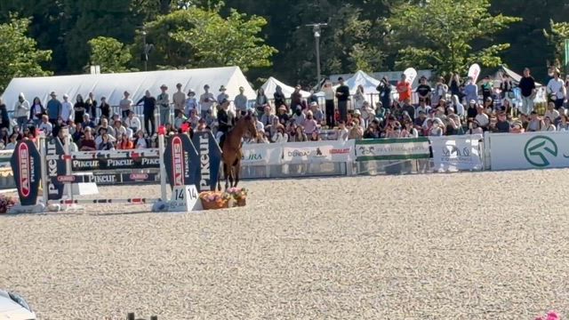 JRAホースショー2026PMの記事動画