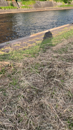 秋田から岩手への記事動画