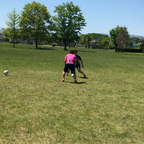 5月31日の画像