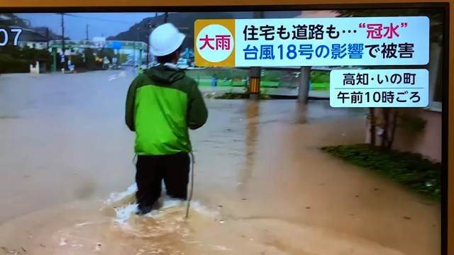 報恩は人間特有の心の記事動画