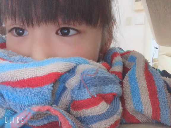 今日は食レポ笑の記事動画