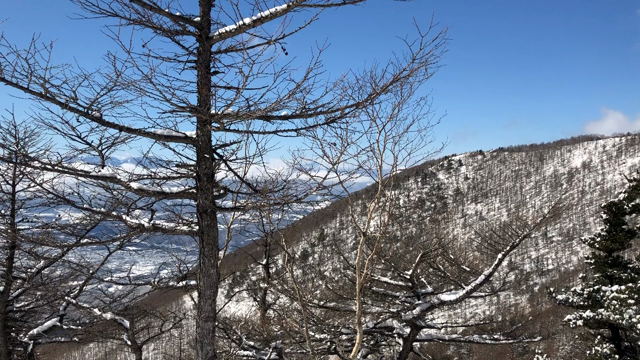 大地とつながる。森へ山へ出かけようの記事動画