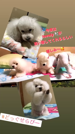 楽しいムラの徒然の記事動画
