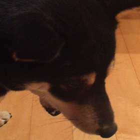 EVER 入信の画像