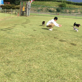 芝生ラン！の画像