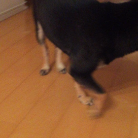 怖かった〜の画像