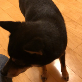 あなたなら？の画像