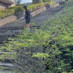 かいだん話の画像