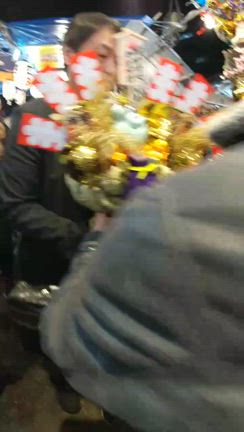 三の酉の記事動画