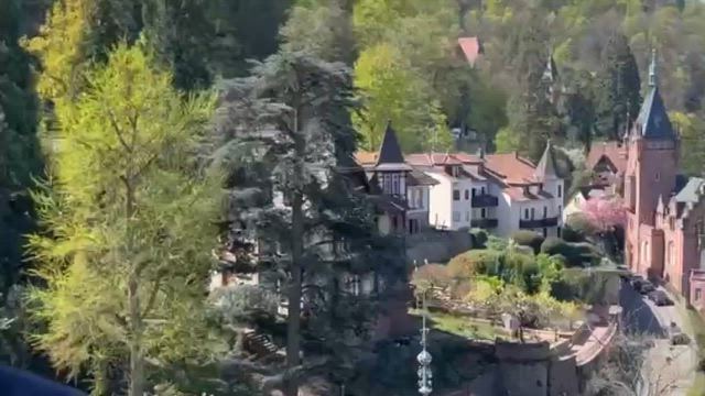 セレブ姉のヨーロッパ旅行　その④ハイデルベルク城の記事動画