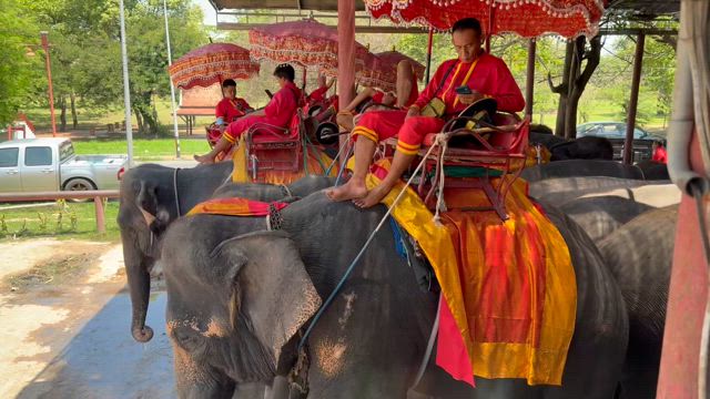 タイに行ってきました！その⑭ アユタヤエレファントキャンプの記事動画