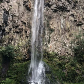 癒される〜の画像