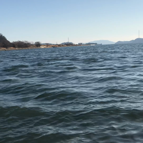 逃したの画像