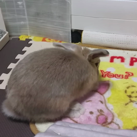 半日経ったけど･･･の画像