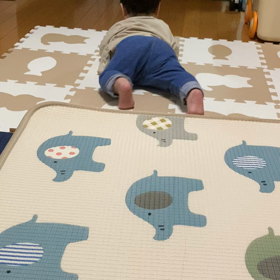 2021/04/29の画像