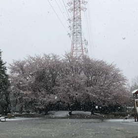 雪降った2❄の画像