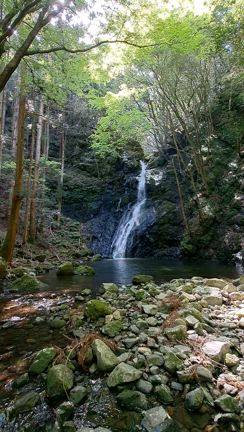 新たに繋がるご縁の記事動画
