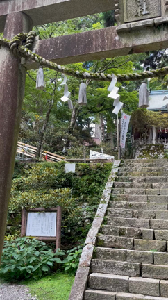 開運弾丸ツアー②　玉置神社への記事動画