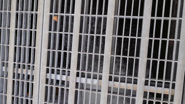 風景の記事動画