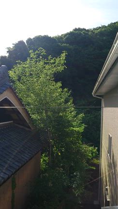 景色がの記事動画