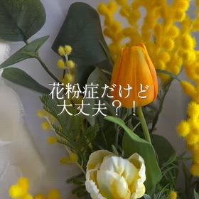2026/03/05の画像