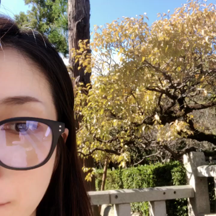 弾丸北九州！の記事動画