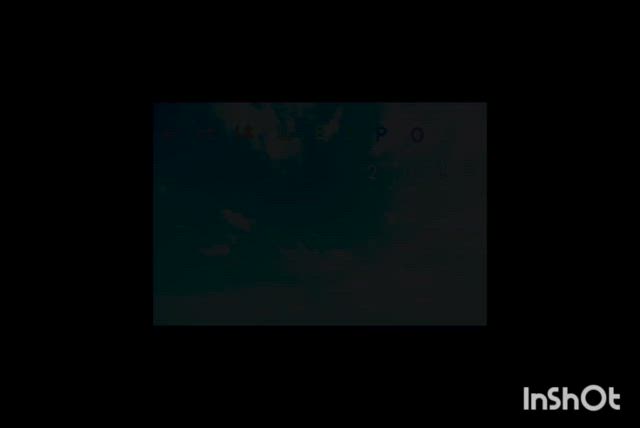 いよいよ開幕しました✨️　〜かけはし万博日記〜の記事動画