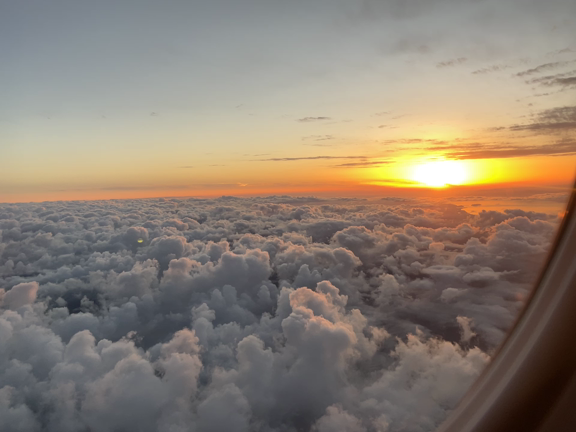 空の見上げた回数の記事動画