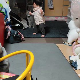 いつしかのぐぅ＋の画像