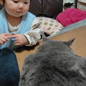 本日のぐぅの画像