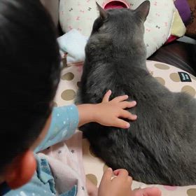 本日のぐぅの画像