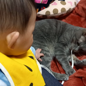いつしかのぐぅの画像