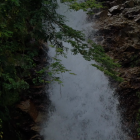 きのこ採り 回想の画像