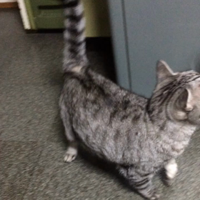 還暦祝い 2の画像