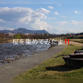 コロナで大変だねの画像