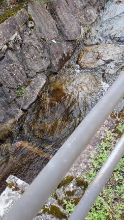 私にとって最高の、飛騨さくら巡り❀.*ﾟの記事動画