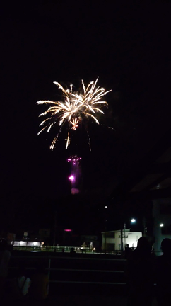 ｡˚✩飛騨高山市民花火大会˚✩∗*ﾟの記事動画