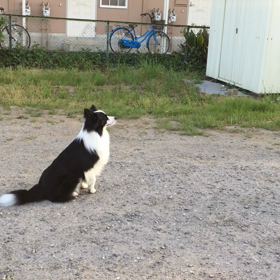 訓練の画像