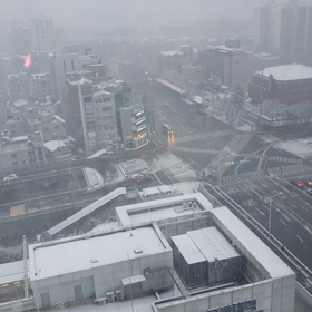 朝起きたら雪降ってたんですけど、、、の画像