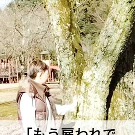 自分で稼ぐ力の画像
